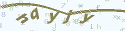 verify_code