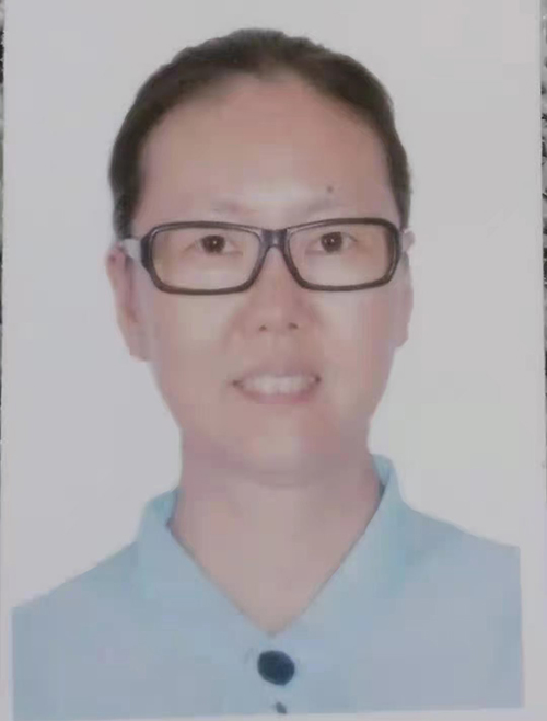 贾智